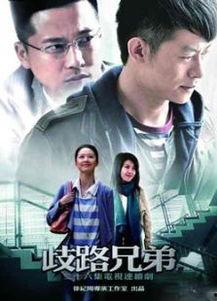 歧路兄弟在线观看,在线观看，揭秘兄弟情深的迷雾之旅